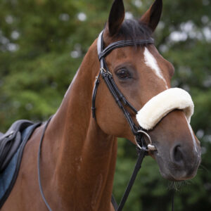 EQUITHÈME Noseband Protector - Teddy