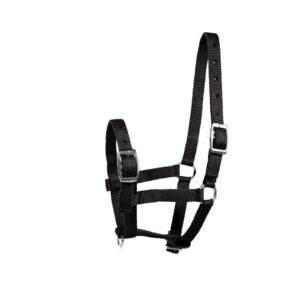 Horze Foal Halter