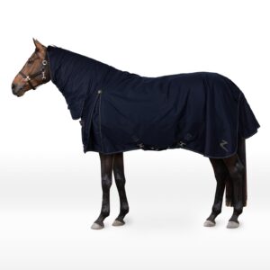 Horze Avalanche Combo Winter Rug, 350g