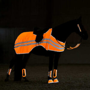 bZeen Reflective Riding Rug