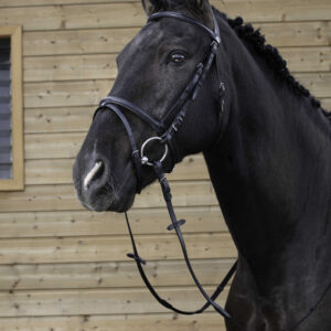 RIDING WORLD Bridle – Combined Noseband