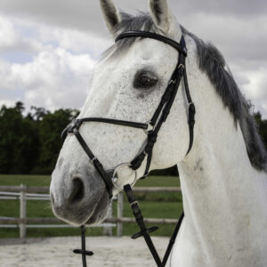 RIDING WORLD Bridle – Mexican Noseband