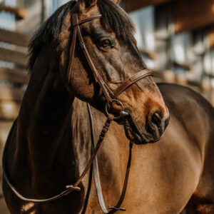 NORTON - Hunter comfy - Bridle