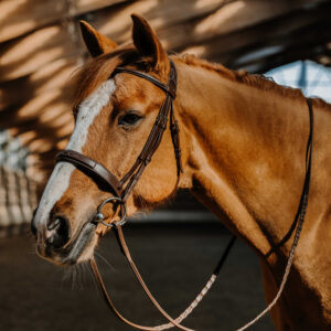 NORTON Trense - Hunter - Fancy