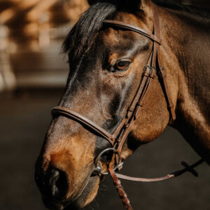 Bridon NORTON - Hunter soft