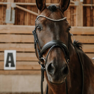 Bridon NORTON - Diams