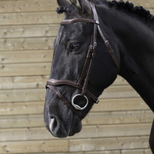 NORTON PRO bridle with curved browband and noseband