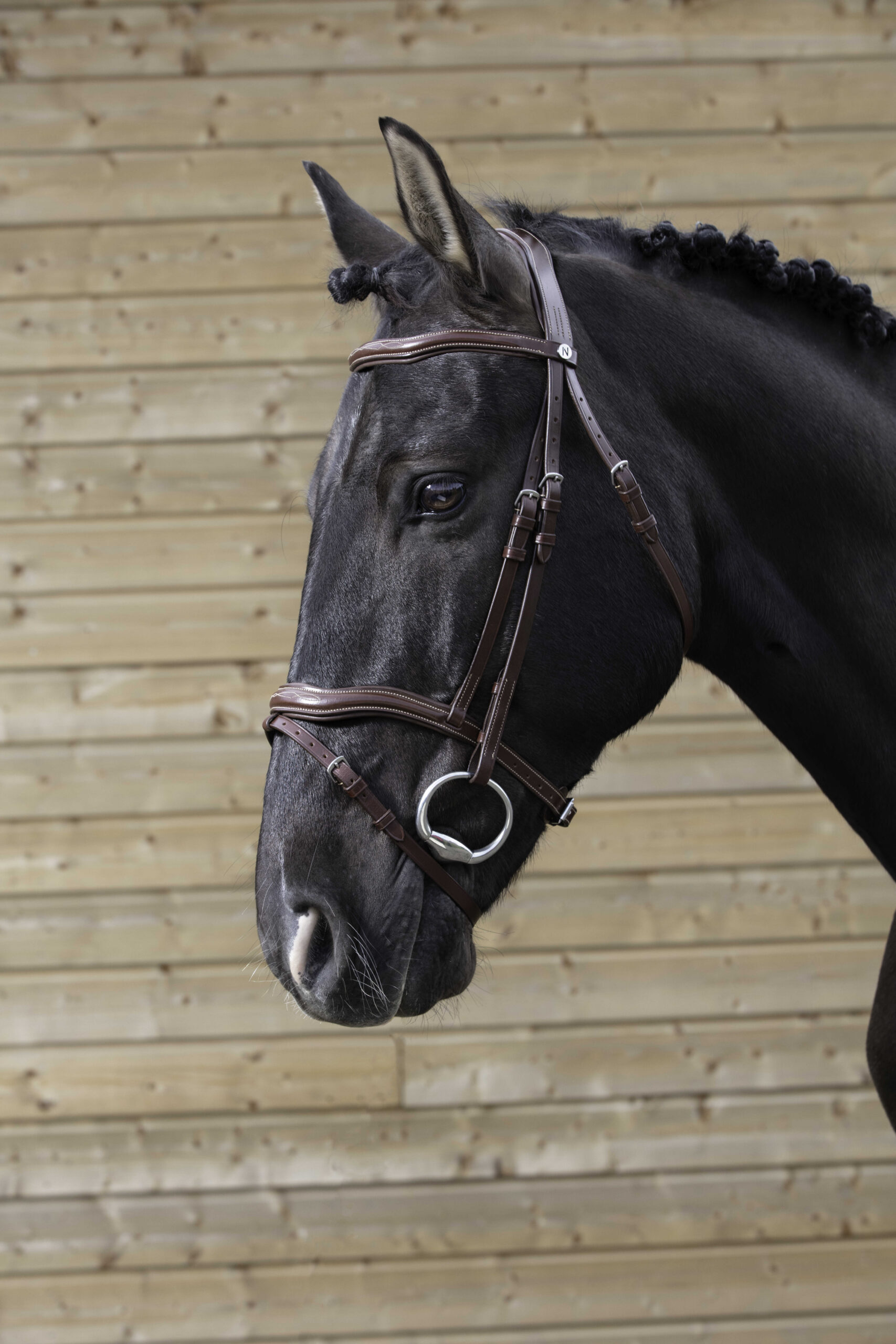NORTON PRO bridle with curved browband and noseband