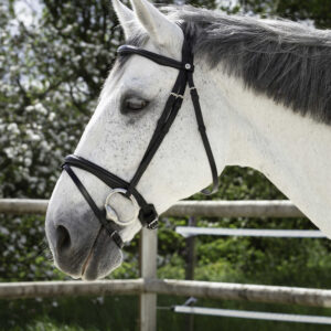 NORTON PRO bridle - combined noseband -
