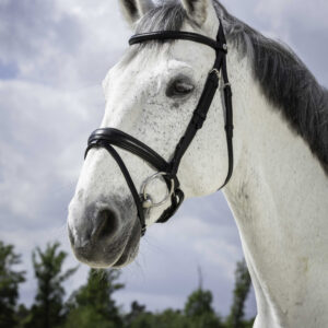 NORTON PRO - Soft - Bridle