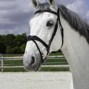 NORTON PRO - Vague - Bridle