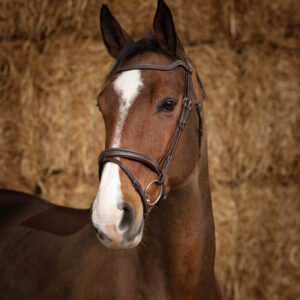 NORTON PRO - Bead - Bridle seam