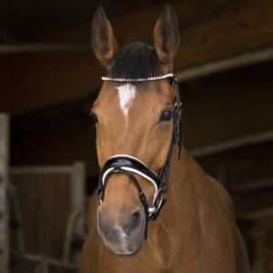 NORTON PRO - Beautiful - Trench