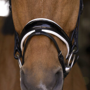 NORTON PRO - Bella - Bridle - Image 2