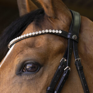 NORTON PRO - Bella - Bridle - Image 3