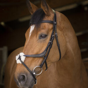 NORTON PRO bridle with crossed noseband