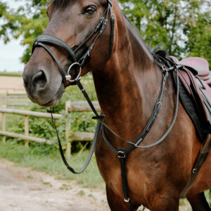 Bridon endurance NORTON - Pop