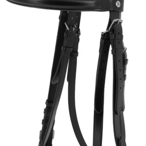 NORTON - Percheron - Bridle and web reins