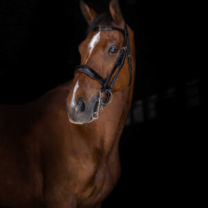 ERIC THOMAS ELITE Kandarenzaum