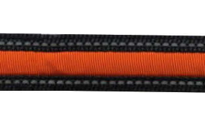 EQUIZOR LED luminous browband