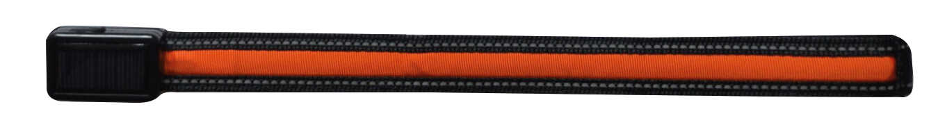 EQUIZOR LED luminous browband