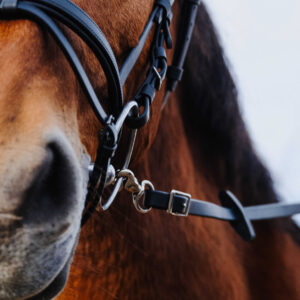 Rubber reins NORTON PVC - Training