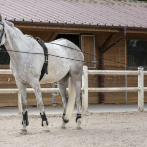 RIDING WORLD Double lunge Leather/rope