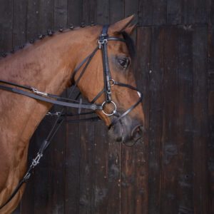 RIDING WORLD Gogue reins made of leather