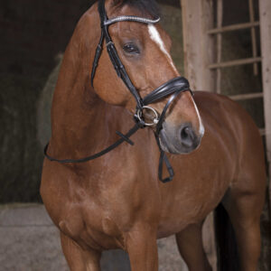 NORTON PRO Reins - Grip -