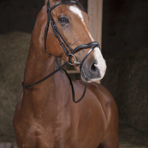 NORTON PRO Reins - Supergrip -