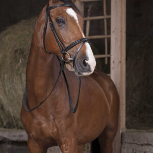 NORTON PRO rubber reins