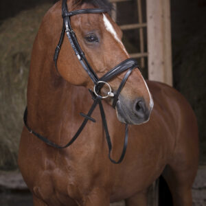 NORTON PRO Web reins