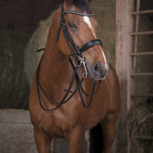 NORTON mesh reins - 16 mm