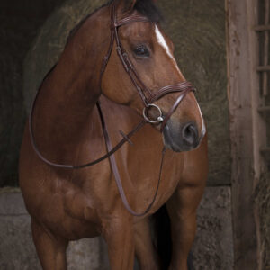 NORTON PRO wide rubber reins