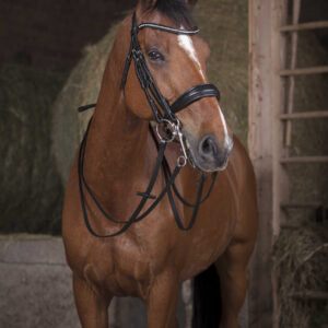 NORTON PRO snaffle reins - 13 mm