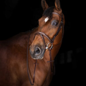 ERIC THOMAS ELITE reins “Hunter” 16 mm