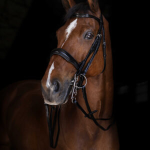 ERIC THOMAS ELITE smooth leather reins 16 mm