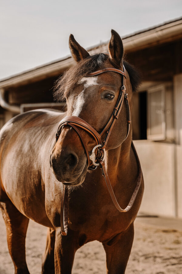 ERIC THOMAS - Digit - Rubber reins - Image 5