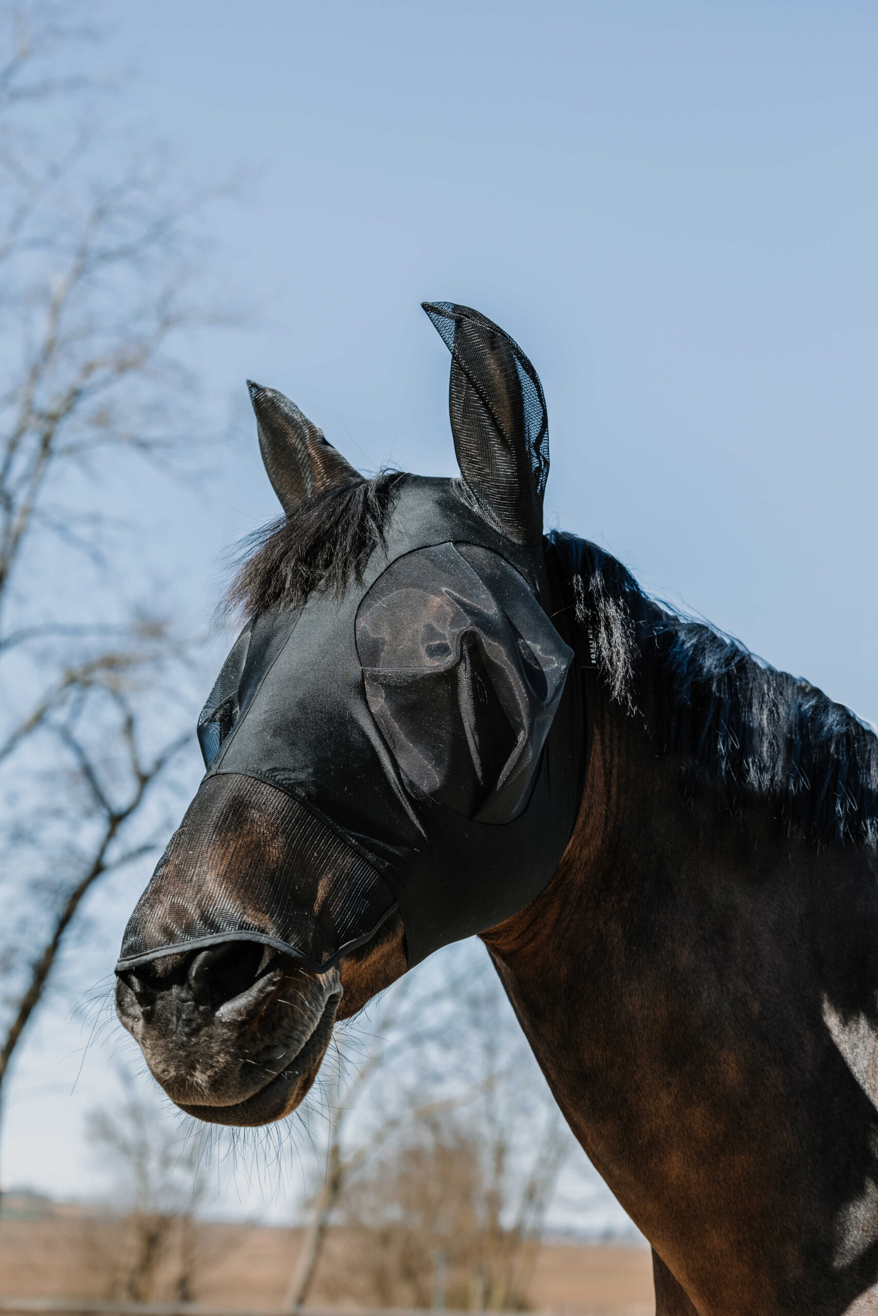 EQUITHÈME - Lycra - Fly/UV mask + nose