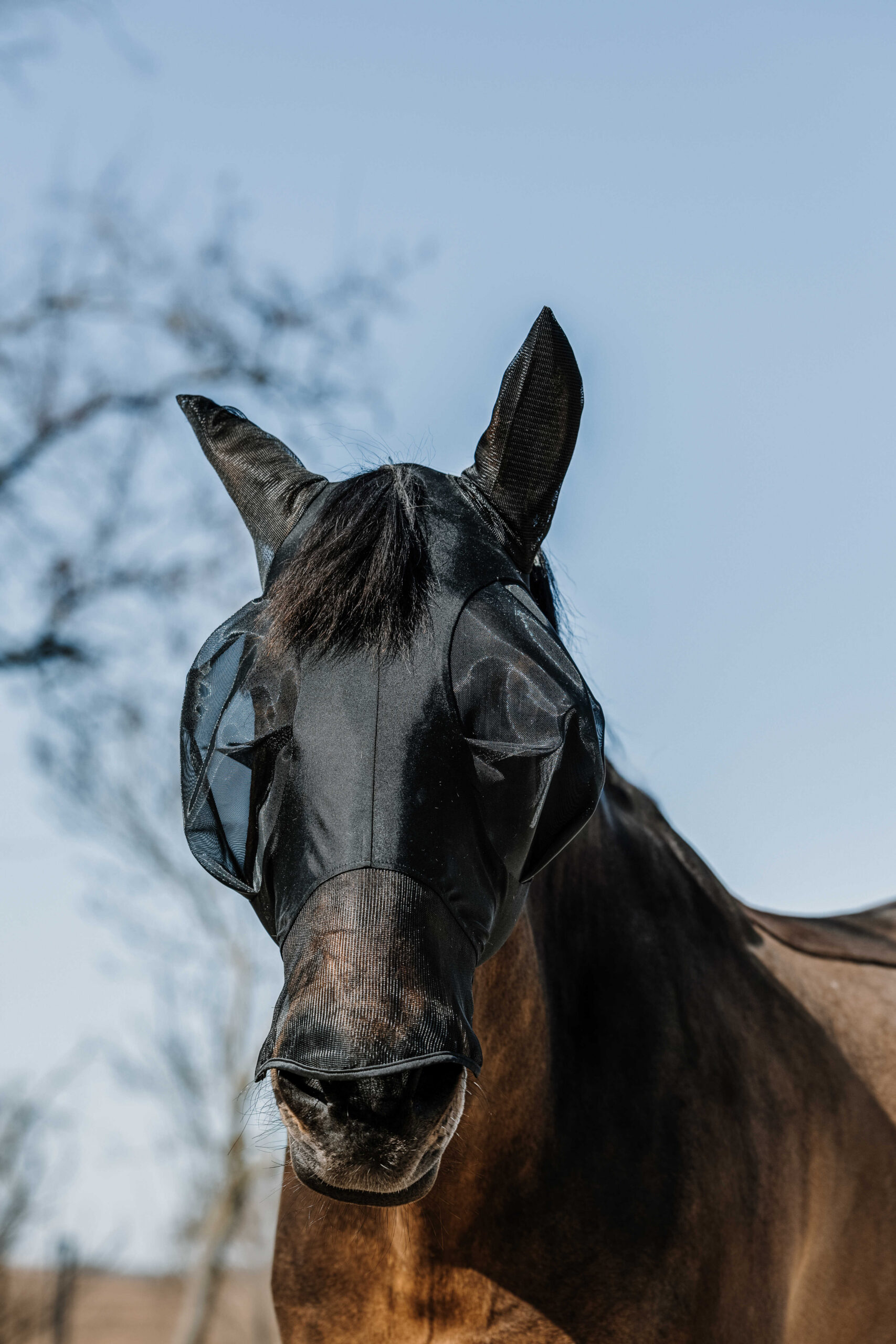 EQUITHÈME - Lycra - Fly/UV mask + nose - Image 2