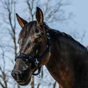 EQUITHÈME UV protection for the nose