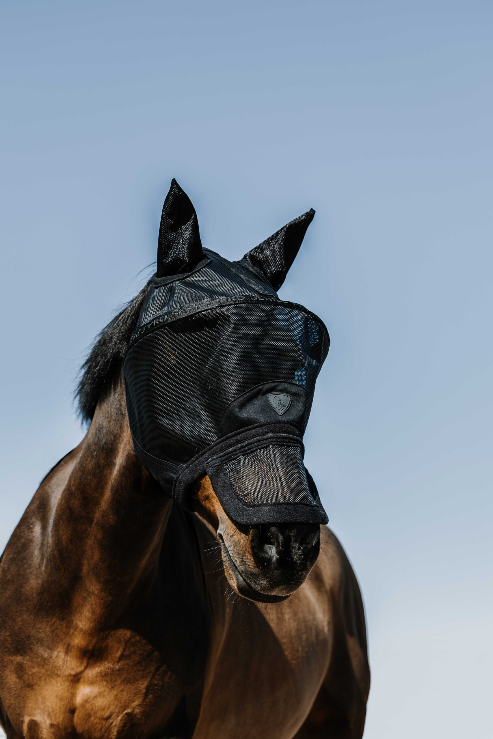 PRO SERIES fly mask with UV protection - Image 2