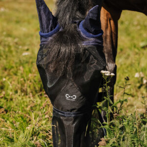 RIDING WORLD Fly Mask - First