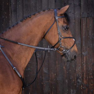 RIDING WORLD Ringmartingal