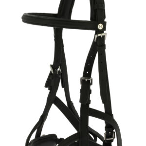 NORTON working cavesson