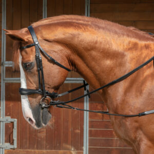 NORTON PRO short elastic side reins with pulleys