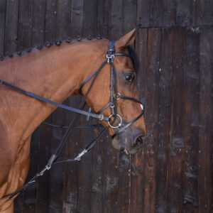 RIDING WORLD Gogue with pulleys