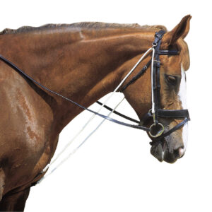 NORTON CLUB Chambon with pulleys