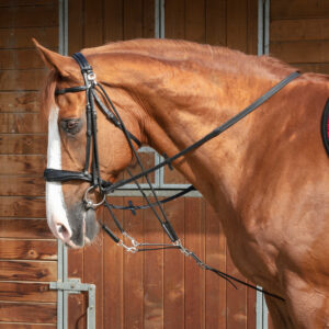 NORTON PRO Gogue with pulleys