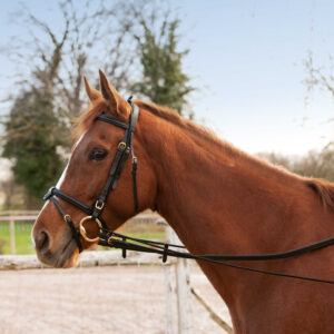 Collar extenders NORTON